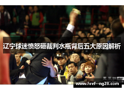 辽宁球迷愤怒砸裁判水瓶背后五大原因解析