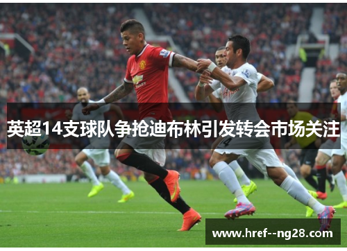 英超14支球队争抢迪布林引发转会市场关注