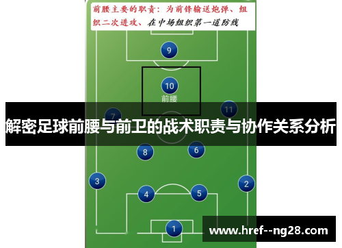 解密足球前腰与前卫的战术职责与协作关系分析